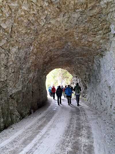 Wallfahrt nach Mariazell