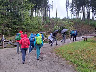 Wallfahrt nach Mariazell