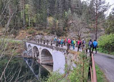 Wallfahrt nach Mariazell