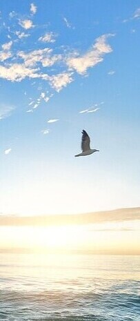 Strand mit Sonne, Wolken und fliegender Möwe