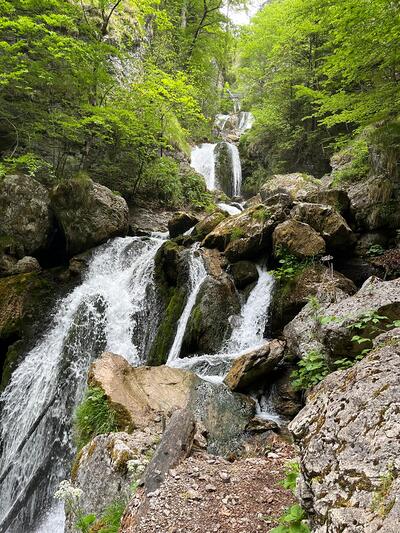 Mariazell