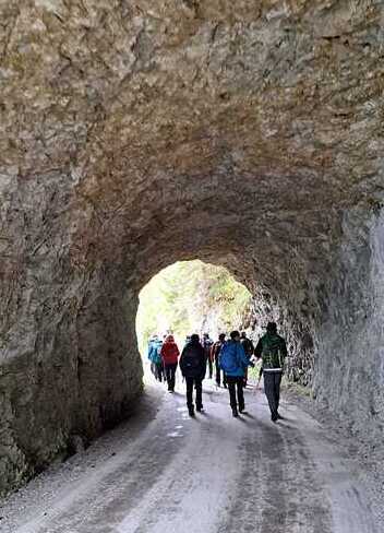 Wallfahrt nach Mariazell