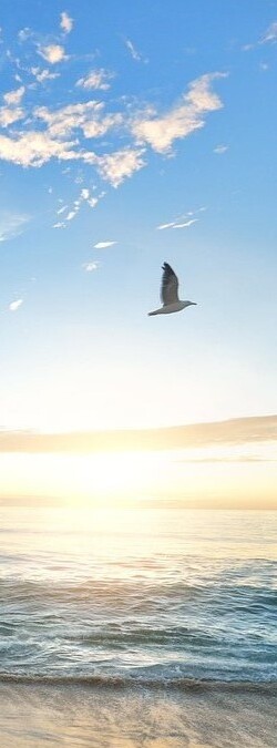 Strand mit Sonne, Wolken und fliegender Möwe
