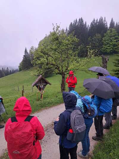Wallfahrt nach Mariazell
